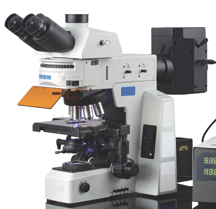 Digital microscope imaging